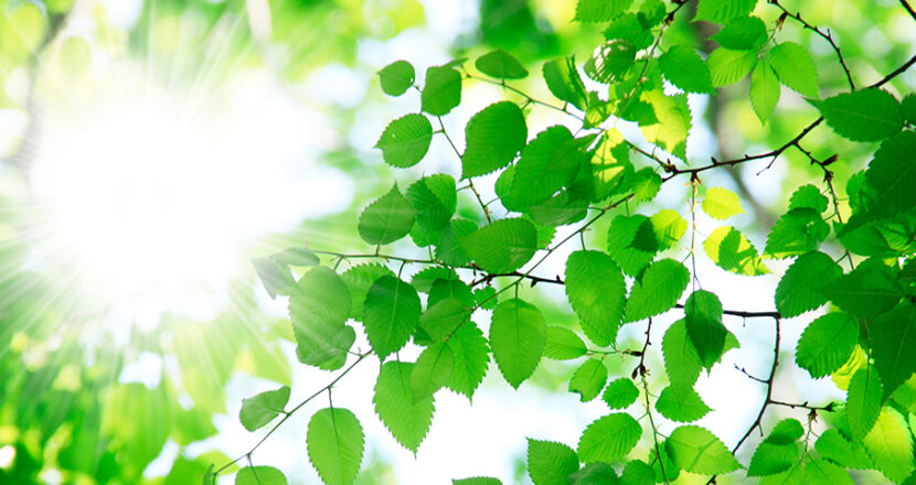 会社概要・沿革