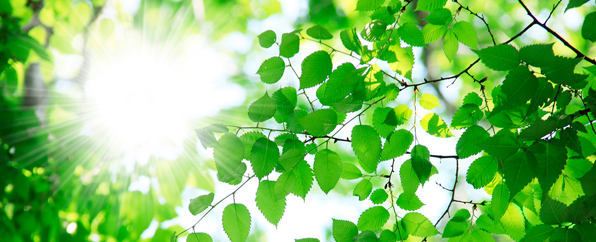 会社概要・沿革